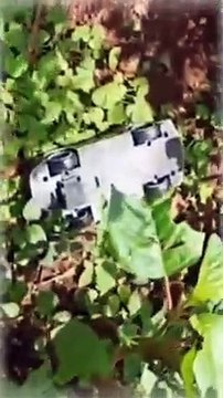 Menemukan Mobil Mainan Truk Oleng Di Kebun, Mobil Oleng, Mobik Truk, Tayo, Truk Molen, Mobil Molen