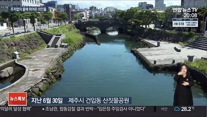 "몸이 먼저 반응했다"…물에 빠진 아이들 구한 의인들