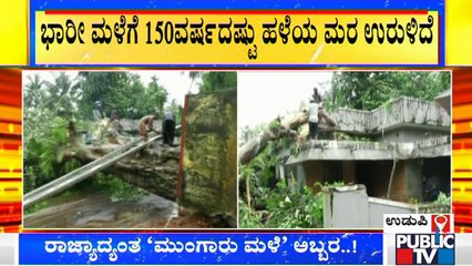 Heavy Rain, Gusty Wind Uproots 150 Year Old Tree At Katapadi Vishwanatha Kshetra, Udupi