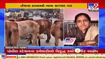 Bhavnagar city suffers from stray cattle, hear what authorities have to say _ TV9News