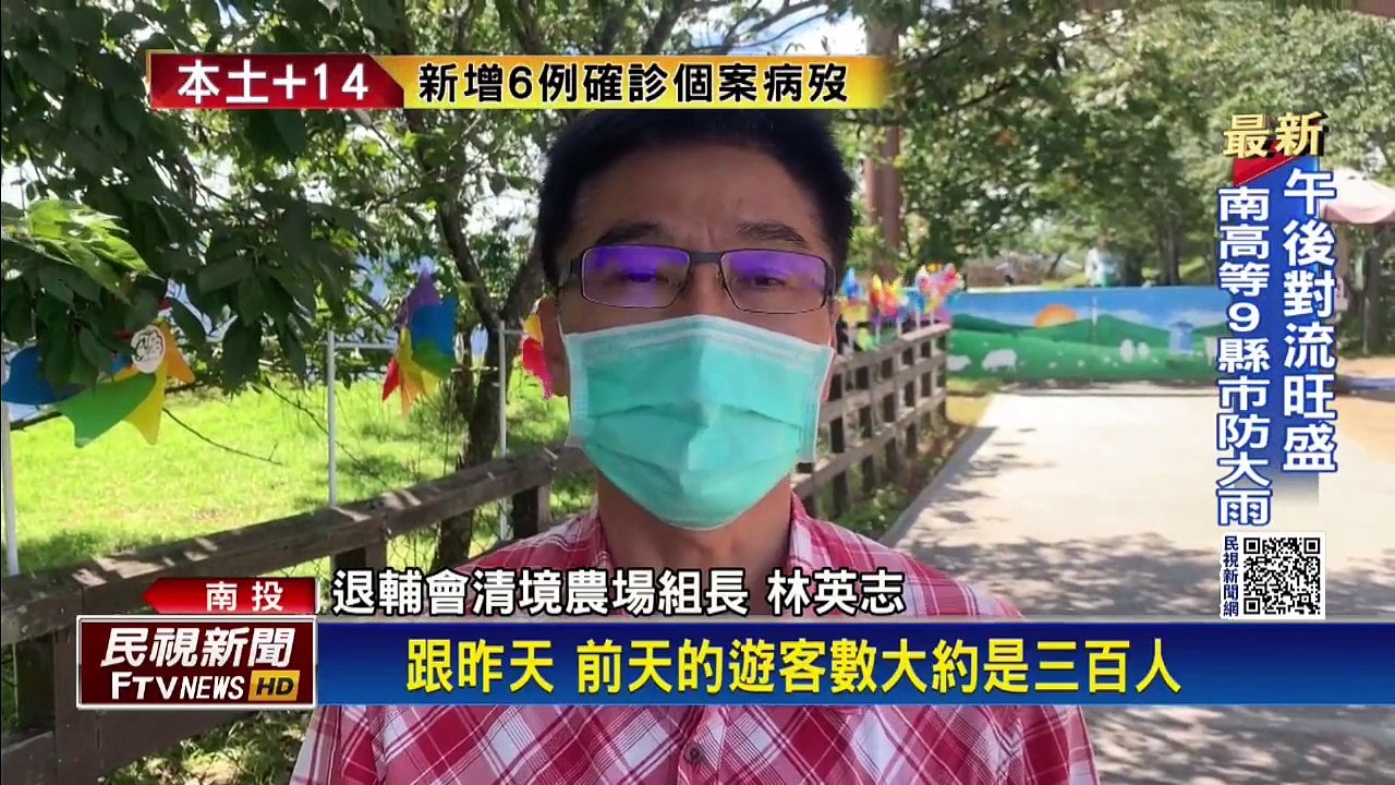 3百人搶看清境綿羊秀 三大農場週末近滿房