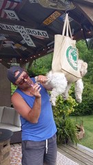 Nail Trimming Hammock Trick Keeps Doggy Relaxed