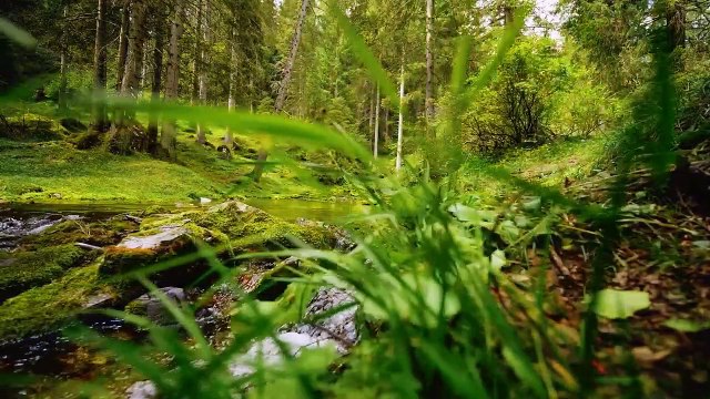 4K River Flowing nature Relaxation Video 2021 _ Peaceful Relaxing Music and Calming Nature