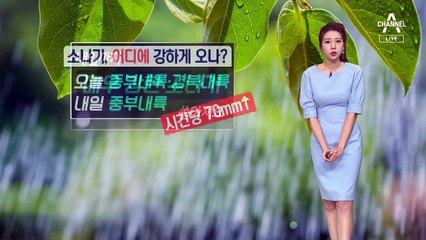 [날씨]오늘과 내일 국지성 호우·폭염 주의하세요