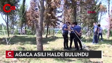 Küçükçekmece'de ağaca asılı halde bulundu