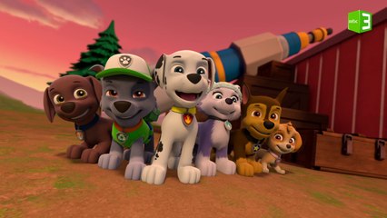 الجراء تستعد لمشاهدة المذنب