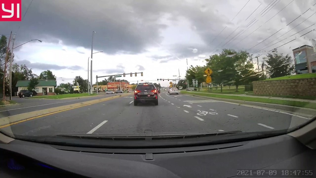 Cute Ducks Cross Rainy Road.