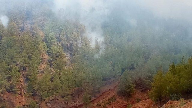 Mersin’deki orman yangını büyüyor: Ekipler seferber oldu