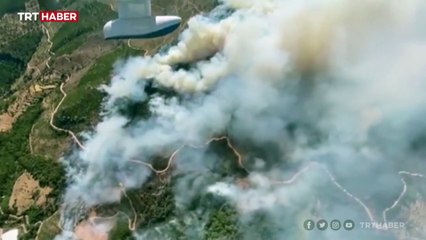 Mersin'de orman yangını: Müdahale sürüyor
