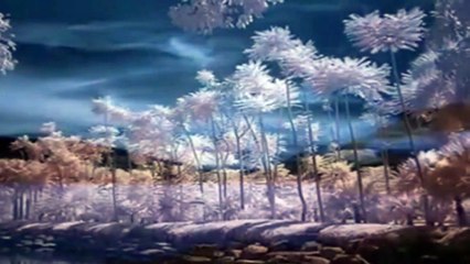 Selam Olsun--seslendiren --Video klip --Aynur AVCI