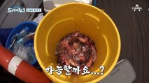 미래는 기계가 지배한다+_+! 낚시기계(?) 올리비아혜와 태곤의 연속 히트☆