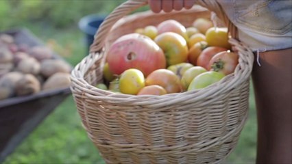 The Best Heirloom Tomatoes Are in Virginia