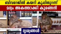 Monkey drinks alcohol from beverages shop | Oneindia Malayalam