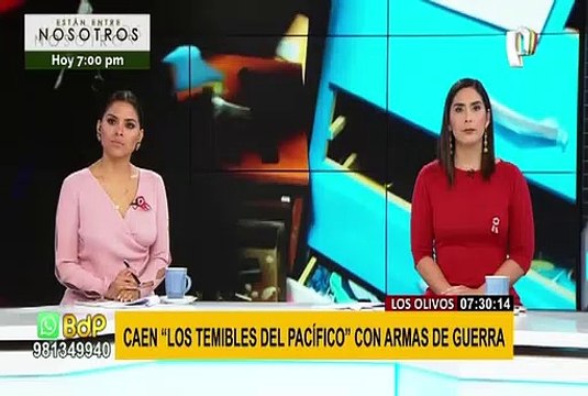 Los Olivos: banda de extorsionadores utilizaban armas de guerra para delinquir