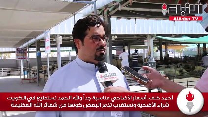 «الأنباء» في صفاة الشويخ للمواشي.. إقبال قليل على شراء الأضاحي