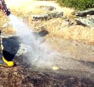 Yangında mahsur kalan kaplumbağanın imdadına itfaiye ekipleri yetişti