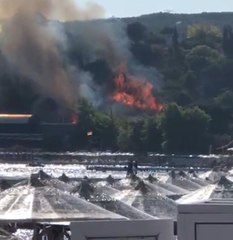 ERDEK'TE, ASKERİ KAMP ALANINDA ÇIKAN YANGIN KORKUTTU