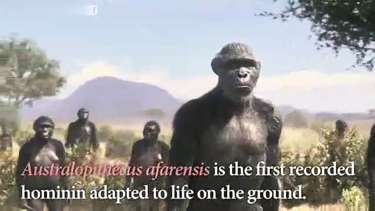 Animals for Kids to Learn - 100 Animals for Kids, Toddlers and Babies in English | Educational Video