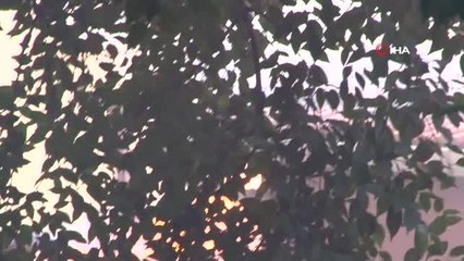 Engelli adam dumanların arasından kurtarıldı