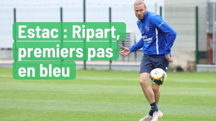 Estac : Ripart, premiers pas en bleu