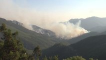 Son dakika haberi: Tarım ve Orman Bakanı Bekir Pakdemirli, orman yangınlarıyla ilgili bilgi verdi