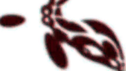 Esta es la real diferencia entre el fútbol y el rugby