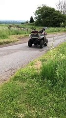 Un chien de berger au travail... efficace