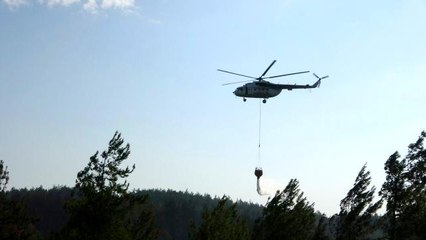 Son dakika 3. sayfa: Osmaniye'deki orman yangınında soğutma çalışmaları başlatıldı