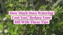 How Much Does Watering Cost You? Reduce Your Bill With These Tips