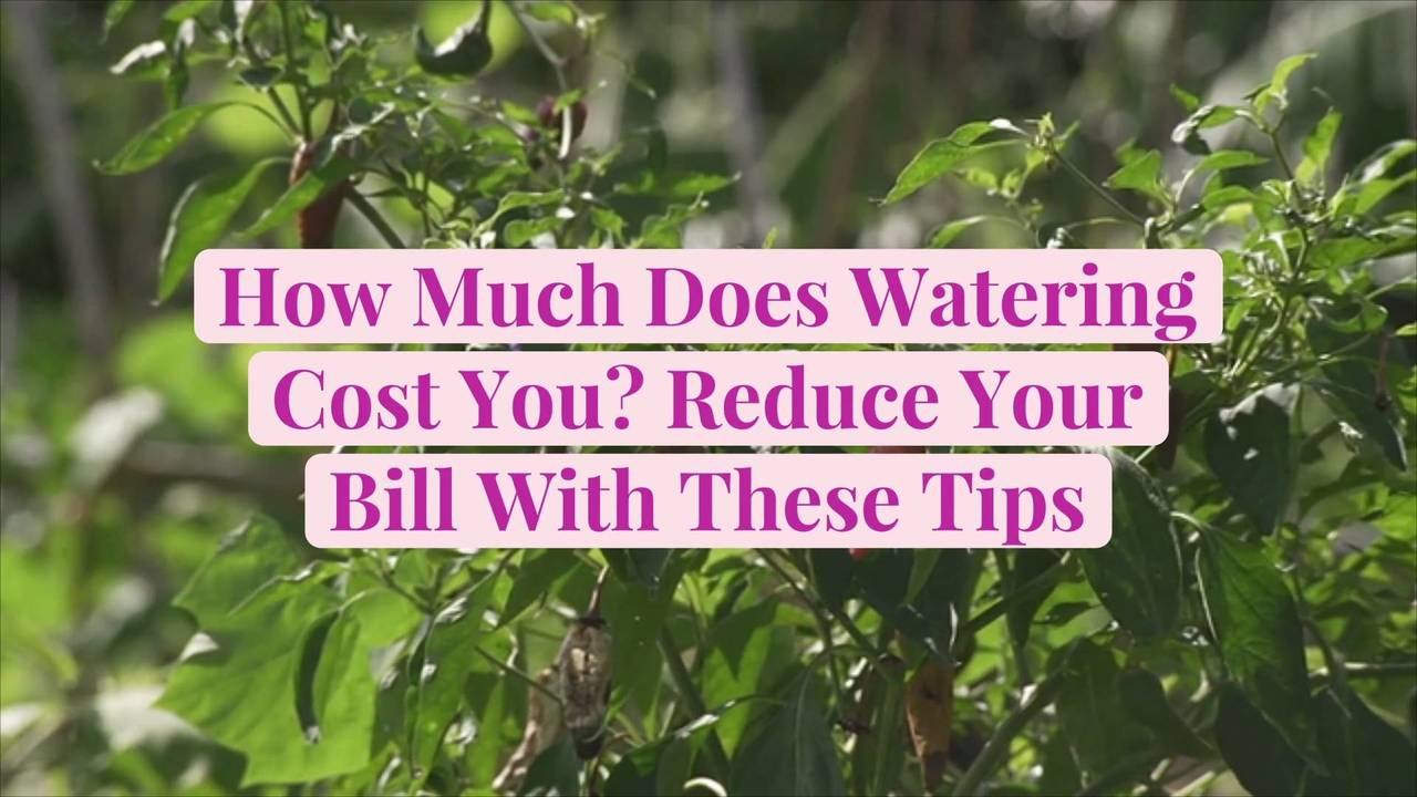 How Much Does Watering Cost You? Reduce Your Bill With These Tips