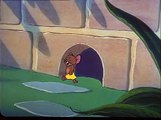 Tom & Jerry 04 A Kis Szokeveny