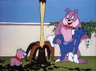 Tom & Jerry 12 Az En Kolykom