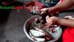 Amazing Live Fish Cutting Skills in Village girl Super Fast Fish Cutting Skills Aroundusbd