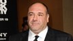 James Gandolfini Was Paid Millions to Turn Down 'The Office' Role, According to 'Sopranos' Stars | THR News