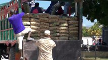 Haitianos abarrotan negocios en Pedernales