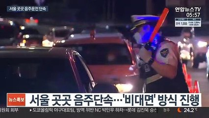 "불지 말고 호흡하세요"…서울 곳곳 음주단속