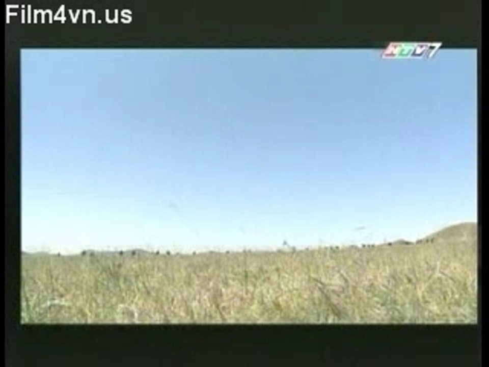 Film4vn.us_ThaiHauBacNguy-13.02