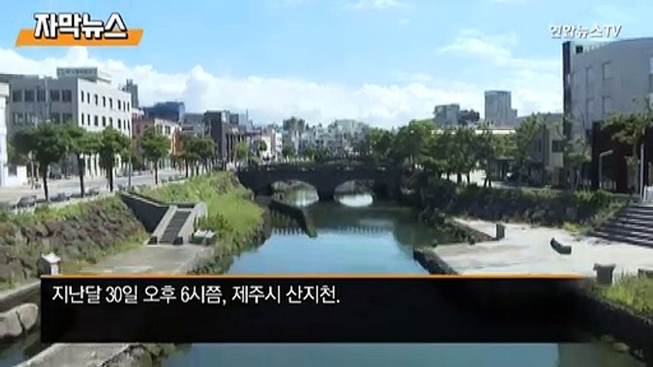 [자막뉴스] "몸이 먼저 반응했다"…물에 빠진 아이들 구한 의인들