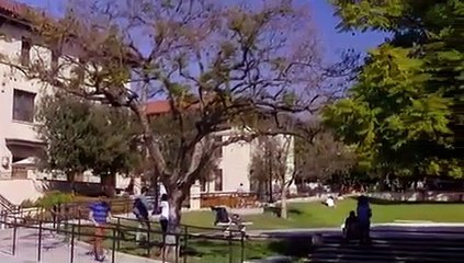 Chica Rara En Español T4C5