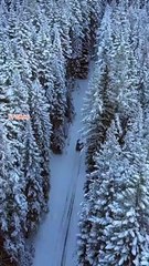 Cinematic Winter Snow Scene ❄️