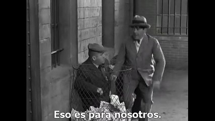 Los Tres Chiflados 064 - Tres Inteligentes Sapos