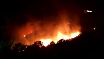 Nazilli'deki orman yangınını söndürme çalışmaları gece de devam ediyor