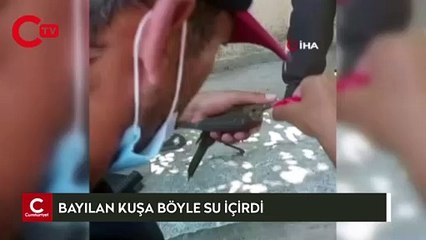 Pendik’te temizlik görevlisinden bayılan kuşa can suyu