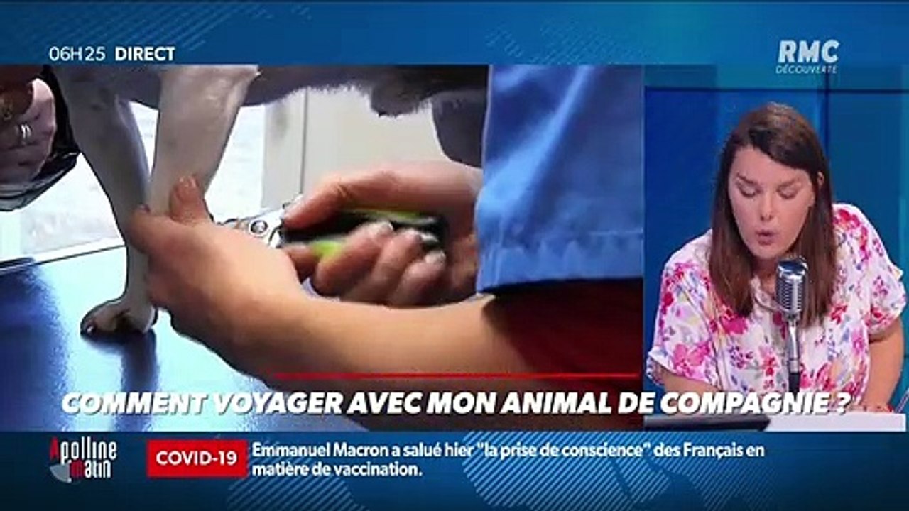 « Allô Caroline ? » : Comment voyager avec mon animal de compagnie ? - 16/07