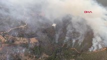 MERSİN'DE ORMAN YANGINI