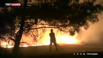 Hatay ve Mersin'deki yangınları söndürme çalışmaları sürüyor