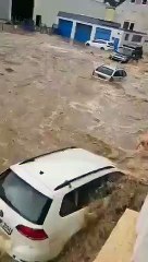 Al menos 42 muertos por las inundaciones en Alemania: vídeo 1