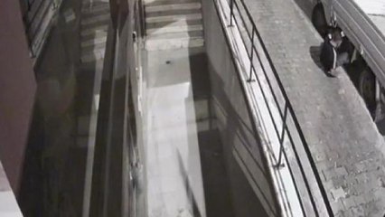 ESENYURT'TA PARK HALİNDEKİ İKİ ARAÇTAN YAPILAN HIRSIZLIK ANLARI KAMERADA