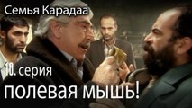 полевая мышь! - Семья Карадаа 10 серия