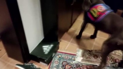 UYUŞTURUCUYU SIVI HALE GETİRİP İÇECEK GÖRÜNTÜSÜ VERDİ